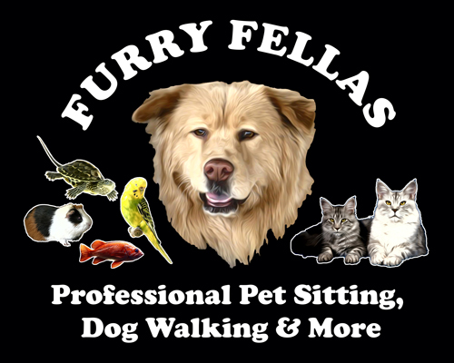 Trusted Dog Walker & Pet Sitters, In Your Brookhaven Home, Professional  Employees at Your Service